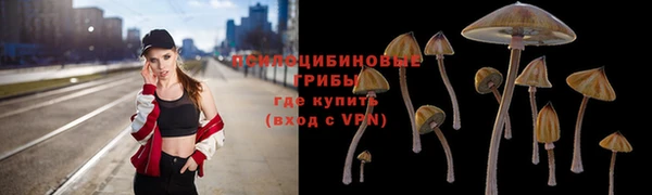ешки Балахна